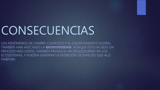 CONSECUENCIAS
LOS FENÓMENOS DE CAMBIO CLIMÁTICO Y EL CALENTAMIENTO GLOBAL
TAMBIÉN HAN AFECTADO LA BIODIVERSIDAD, AUNQUE ÉSTE HA SIDO UN
PROCESO MÁS LENTO, TAMBIÉN PROVOCA UN DESEQUILIBRIO EN LOS
ECOSISTEMAS, Y PUEDEN GENERAR LA EXTINCIÓN DE ESPECIES QUE ALLÍ
HABITAN.