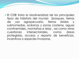 El CDB trata la biodiversidad de los principales tipos de hábitats del mundo  (bosques, tierras de uso agropecuario, tierras áridas y subhúmedas, océanos y zonas costeras, aguas continentales, montañas e islas) , así como otras cuestiones intersectoriales, como áreas protegidas, acceso y reparto de beneficios, incentivos o especies invasoras.
