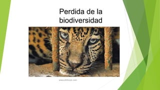 Perdida de la
biodiversidad
www.ellitoral.com
 