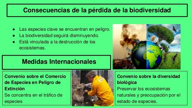 Consecuencias De La Pérdida Dela Biodiversidad