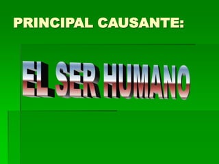 PRINCIPAL CAUSANTE:
 