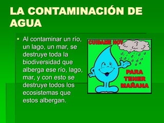 LA CONTAMINACIÓN DE
AGUA
 Al contaminar un río,
un lago, un mar, se
destruye toda la
biodiversidad que
alberga ese río, lago,
mar, y con esto se
destruye todos los
ecosistemas que
estos albergan.
 