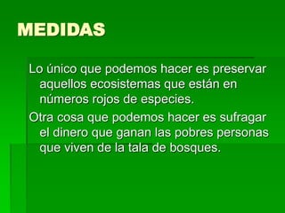 MEDIDAS
Lo único que podemos hacer es preservar
aquellos ecosistemas que están en
números rojos de especies.
Otra cosa que podemos hacer es sufragar
el dinero que ganan las pobres personas
que viven de la tala de bosques.
 