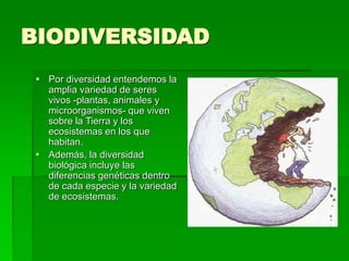 BIODIVERSIDAD
 Por diversidad entendemos la
amplia variedad de seres
vivos -plantas, animales y
microorganismos- que viven
sobre la Tierra y los
ecosistemas en los que
habitan.
 Además, la diversidad
biológica incluye las
diferencias genéticas dentro
de cada especie y la variedad
de ecosistemas.
 
