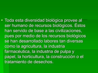 Toda esta diversidad biológica provee al
ser humano de recursos biológicos. Éstos
han servido de base a las civilizaciones,
pues por medio de los recursos biológicos
se han desarrollado labores tan diversas
como la agricultura, la industria
farmacéutica, la industria de pulpa y
papel, la horticultura, la construcción o el
tratamiento de desechos.
 