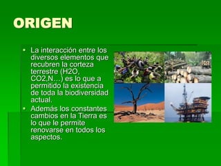 ORIGEN
 La interacción entre los
diversos elementos que
recubren la corteza
terrestre (H2O,
CO2,N…) es lo que a
permitido la existencia
de toda la biodiversidad
actual.
 Además los constantes
cambios en la Tierra es
lo que le permite
renovarse en todos los
aspectos.
 