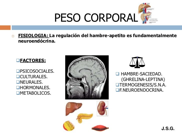 10 cosas sobre metabolismo basal que es