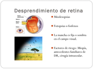 Desprendimiento de retina
Miodesopsias
Fotopsias o fosfenos
La mancha es fija o sombra
en el campo visual.
Factores de riesgo: Miopía,
antecedentes familiares de
DR, cirugía intraocular.
 