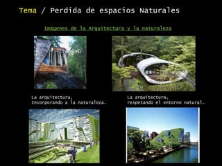 La arquitectura,
respetando el entorno natural.
Tema / Perdida de espacios Naturales
La arquitectura,
Incorporando a la naturaleza.
Imágenes de la Arquitectura y la naturaleza
 