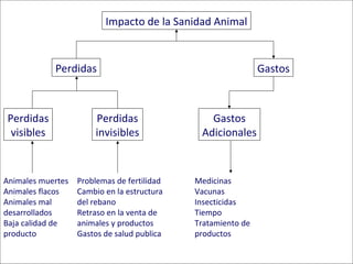 Logrando una balance entre las perdidas económicas en producción y nuestra reacción a la presencia de una enfermedad