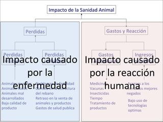 Logrando una balance entre las perdidas económicas en producción y nuestra reacción a la presencia de una enfermedad