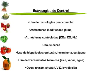 Estrategias de Control


        • Uso de tecnologías posocosecha:

         •Atmósferas modificadas (films)

      •Atmósferas controladas (CO2, CO, N2)

                  •Uso de ceras

•Uso de biopelículas: quitosán, horminona, colágeno

•Uso de tratamientos térmicos (aire, vapor, agua)

      • Otros tratamientos: UV-C, irradiación
 