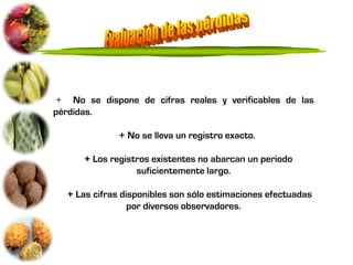 + No se dispone de cifras reales y verificables de las
pérdidas.

              + No se lleva un registro exacto.

      + Los registros existentes no abarcan un periodo
                  suficientemente largo.

  + Las cifras disponibles son sólo estimaciones efectuadas
                 por diversos observadores.
 