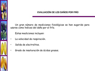 EVALUACIÓN DE LOS DAÑOS POR FRÍO




    Un gran número de mediciones fisiológicas se han sugerido para
usarse como índices del daño por el frío.

    Estas mediciones incluyen:

•   La velocidad de respiración.

•   Salida de electrolitos.

•   Grado de insaturación de ácidos grasos.
 