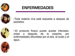 ENFERMEDADES

• Toda materia viva está expuesta a ataques de
parásitos.


• El producto fresco puede quedar infectado,
antes o después de la cosecha, por
enfermedades difundidas por el aire, el suelo y el
agua.
 