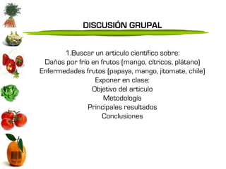 DISCUSIÓN GRUPAL


       1.Buscar un articulo científico sobre:
 Daños por frío en frutos (mango, cítricos, plátano)
Enfermedades frutos (papaya, mango, jitomate, chile)
                 Exponer en clase:
                Objetivo del articulo
                    Metodología
               Principales resultados
                    Conclusiones
 