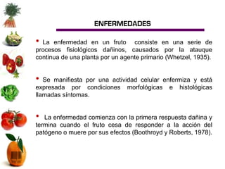 ENFERMEDADES

• La enfermedad en un fruto consiste en una serie de
procesos fisiológicos dañinos, causados por la atauque
continua de una planta por un agente primario (Whetzel, 1935).


•  Se manifiesta por una actividad celular enfermiza y está
expresada por condiciones morfológicas e histológicas
llamadas síntomas.


•  La enfermedad comienza con la primera respuesta dañina y
termina cuando el fruto cesa de responder a la acción del
patógeno o muere por sus efectos (Boothroyd y Roberts, 1978).
 