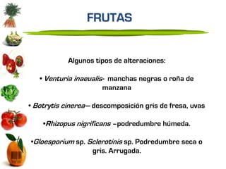FRUTAS


            Algunos tipos de alteraciones:

   • Venturia inaeualis- manchas negras o roña de
                       manzana

• Botrytis cinerea--- descomposición gris de fresa, uvas

    •Rhizopus nigrificans –podredumbre húmeda.

•Gloesporium sp. Sclerotinis sp. Podredumbre seca o
                  gris. Arrugada.
 