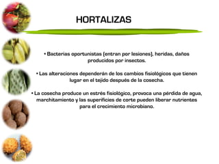 HORTALIZAS


     • Bacterias oportunistas (entran por lesiones), heridas, daños
                       producidos por insectos.

  • Las alteraciones dependerán de los cambios fisiológicos que tienen
                 lugar en el tejido después de la cosecha.

• La cosecha produce un estrés fisiológico, provoca una pérdida de agua,
   marchitamiento y las superificies de corte pueden liberar nutrientes
                    para el crecimiento microbiano.
 