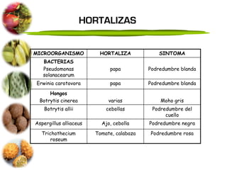 HORTALIZAS


MICROORGANISMO           HORTALIZA             SINTOMA
   BACTERIAS
   Pseudomonas               papa          Podredumbre blanda
   solanacearum
Erwinia carotovora           papa          Podredumbre blanda

      Hongos
  Botrytis cinerea           varias            Moho gris
    Botrytis allii          cebollas        Podredumbre del
                                                 cuello
Aspergillus alliaceus     Ajo, cebolla     Podredumbre negra

  Trichothecium         Tomate, calabaza   Podredumbre rosa
      roseum
 
