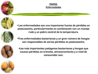 PAPAS.
                       Enfermedades




• Las enfermedades son una importante fuente de pérdidas en
 postcosecha, particularmente en combinación con un manejo
          rudo y un pobre control de la temperatura.

•Tres enfermedades bacterianas y un gran número de hongos
    son responsables de serias pérdidas en postcosecha.

 •Los más importantes patógenos bacterianos y hongos que
  causan pérdidas en tránsito, almacenamiento y a nivel de
                     consumidor son:
 