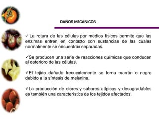 DAÑOS MECÁNICOS


 La rotura de las células por medios físicos permite que las
enzimas entren en contacto con sustancias de las cuales
normalmente se encuentran separadas.

Se producen una serie de reacciones químicas que conducen
al deterioro de las células.

El tejido dañado frecuentemente se torna marrón o negro
debido a la síntesis de melanina.

La producción de olores y sabores atípicos y desagradables
es también una característica de los tejidos afectados.
 