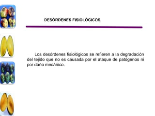 DESÓRDENES FISIOLÓGICOS




    Los desórdenes fisiológicos se refieren a la degradación
del tejido que no es causada por el ataque de patógenos ni
por daño mecánico.
 