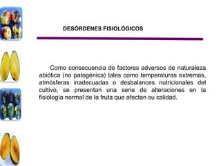 DESÓRDENES FISIOLÓGICOS




     Como consecuencia de factores adversos de naturaleza
abiótica (no patogénica) tales como temperaturas extremas,
atmósferas inadecuadas o desbalances nutricionales del
cultivo, se presentan una serie de alteraciones en la
fisiología normal de la fruta que afectan su calidad.
 