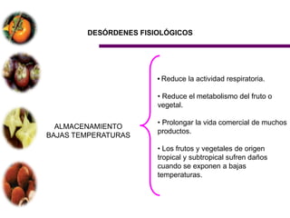 DESÓRDENES FISIOLÓGICOS




                       • Reduce la actividad respiratoria.

                       • Reduce el metabolismo del fruto o
                       vegetal.

                       • Prolongar la vida comercial de muchos
  ALMACENAMIENTO
                       productos.
BAJAS TEMPERATURAS
                       • Los frutos y vegetales de origen
                       tropical y subtropical sufren daños
                       cuando se exponen a bajas
                       temperaturas.
 
