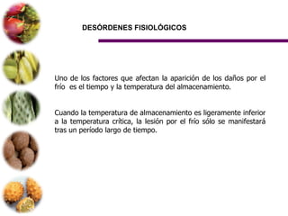 DESÓRDENES FISIOLÓGICOS




Uno de los factores que afectan la aparición de los daños por el
frío es el tiempo y la temperatura del almacenamiento.


Cuando la temperatura de almacenamiento es ligeramente inferior
a la temperatura crítica, la lesión por el frío sólo se manifestará
tras un período largo de tiempo.
 