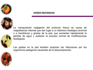 DAÑOS MECÁNICOS




La manipulación negligente del producto fresco es causa de
magulladuras internas que dan lugar a un deterioro fisiológico anormal
o a hendiduras y grietas de la piel, que aumentan rápidamente la
pérdida de agua y aceleran el proceso normal de modificaciones
fisiológicas.


Las grietas en la piel también propician las infecciones por los
organismos patógenos causantes de la descomposición.
 