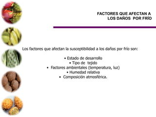 FACTORES QUE AFECTAN A
                                                LOS DAÑOS POR FRÍO




Los factores que afectan la susceptibilidad a los daños por frío son:

                       • Estado de desarrollo
                           • Tipo de tejido
              • Factores ambientales (temperatura, luz)
                         • Humedad relativa
                     • Composición atmosférica.
 