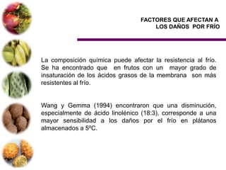 FACTORES QUE AFECTAN A
                                      LOS DAÑOS POR FRÍO




La composición química puede afectar la resistencia al frío.
Se ha encontrado que en frutos con un mayor grado de
insaturación de los ácidos grasos de la membrana son más
resistentes al frío.


Wang y Gemma (1994) encontraron que una disminución,
especialmente de ácido linolénico (18:3), corresponde a una
mayor sensibilidad a los daños por el frío en plátanos
almacenados a 5ºC.
 
