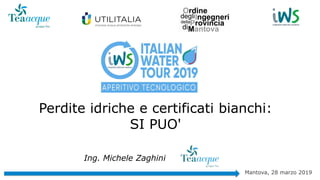Ing. Michele Zaghini
Perdite idriche e certificati bianchi:
SI PUO'
Mantova, 28 marzo 2019
 