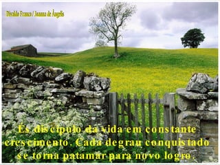 És discípulo da vida em constante crescimento. Cada degrau conquistado se torna patamar para novo logro.  Divaldo Franco / Joanna de Ângelis 