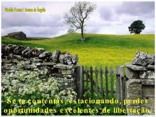 Se te contentas, estacionando, perdes oportunidades excelentes de libertação. Divaldo Franco / Joanna de Ângelis 