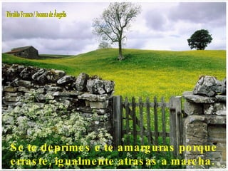 Se te deprimes e te amarguras porque erraste, igualmente atrasas a marcha.  Divaldo Franco / Joanna de Ângelis 
