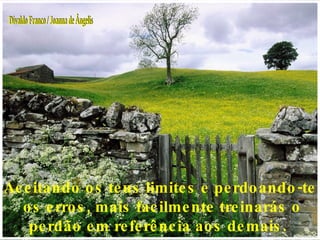Aceitando os teus limites e perdoando-te os erros, mais facilmente treinarás o perdão em referência aos demais.  Divaldo Franco / Joanna de Ângelis 