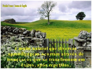 é muito natural que diversas aprendizagens ocorram através de insucessos que se transformam em êxitos, após repetidas, face aos processos que engendram. Divaldo Franco / Joanna de Ângelis 