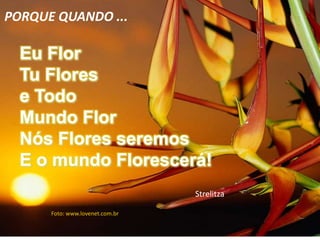 PORQUE QUANDO ...
Eu Flor
Tu Flores
e Todo
Mundo Flor
Nós Flores seremos
E o mundo Florescerá!
Foto: www.lovenet.com.br
Strelitza
 
