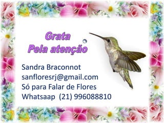 Sandra Braconnot
sanfloresrj@gmail.com
Só para Falar de Flores
Whatsaap (21) 996088810
 