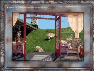 É como ter um elefante na sua sala de estar.  