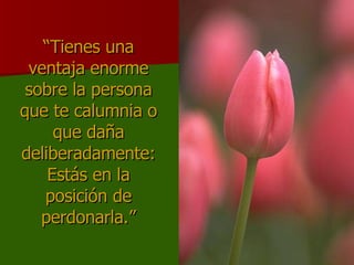 “ Tienes una ventaja enorme sobre la persona que te calumnia o que daña deliberadamente: Estás en la posición de perdonarla.” 