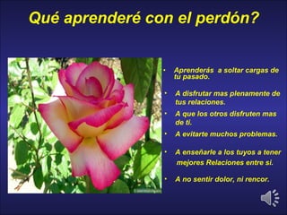 Qué aprenderé con el perdón? Aprenderás  a soltar cargas de tu pasado. A disfrutar mas plenamente de tus relaciones. A que los otros disfruten mas de ti.  A evitarte muchos problemas. A enseñarle a los tuyos a tener mejores Relaciones entre si. A no sentir dolor, ni rencor. 