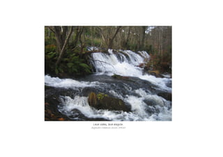 Leva vidas, leva alegría.Leva vidas, leva alegría.Leva vidas, leva alegría.Leva vidas, leva alegría.
Alejandro Cabarcos Souto, 4ºESO
 