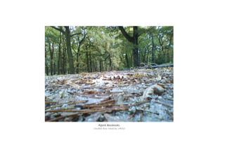 Agora descansas.Agora descansas.Agora descansas.Agora descansas.
Candela Ares Maceiras, 3ºESO
 