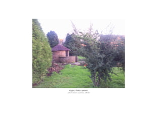 Xogos, risas e paseos.Xogos, risas e paseos.Xogos, risas e paseos.Xogos, risas e paseos.
Carla Castro Guerreiro, 1ºBAC
 