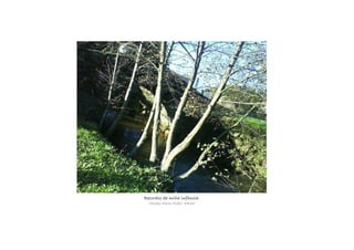 Recordos da miña infancia.Recordos da miña infancia.Recordos da miña infancia.Recordos da miña infancia.
Miriam Piñón Prieto, 4ºESO
 