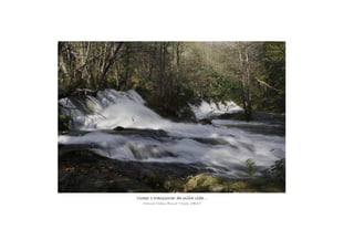 Viches o transcorrer da miña vida...Viches o transcorrer da miña vida...Viches o transcorrer da miña vida...Viches o transcorrer da miña vida...
Mónica Noemí Bouza Torres, 2ºBAC
 