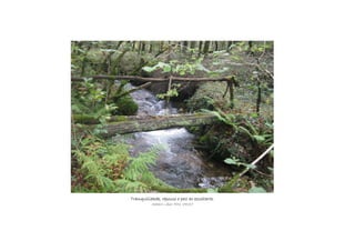 Tranquilidade, repouso e paz ao escoitarte.Tranquilidade, repouso e paz ao escoitarte.Tranquilidade, repouso e paz ao escoitarte.Tranquilidade, repouso e paz ao escoitarte.
Sabela López Pita, 3ºESO
 